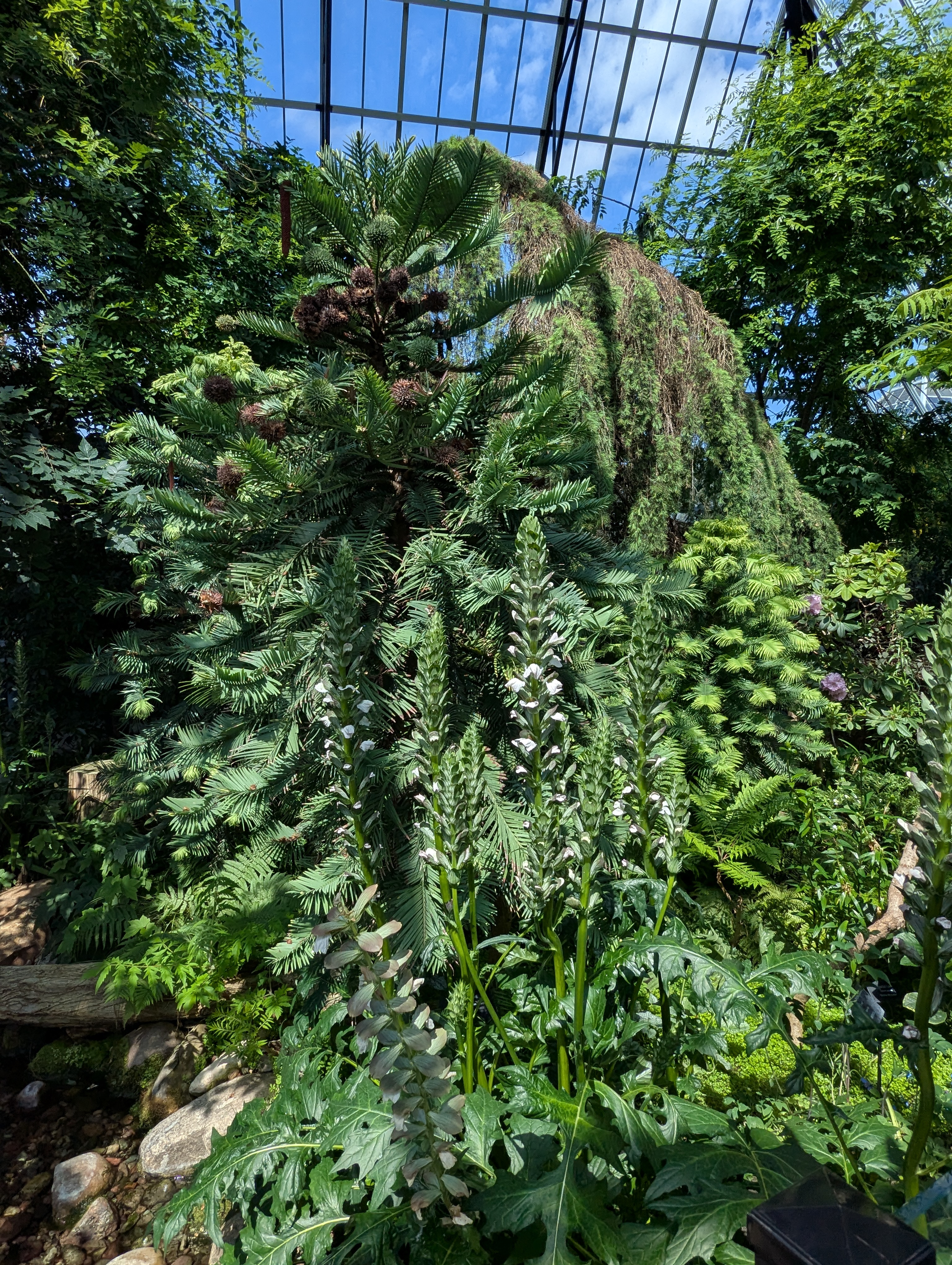 Birthday Trip to Canada, Edmonton, Pyramids, Muttart Observatory